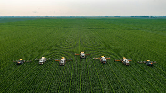 Seven combines harvesting a field.